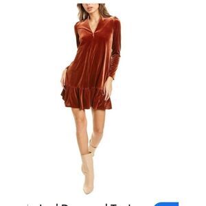 Taylor Rust Velvet A-Line Mini Dress With Ruffled Hem M